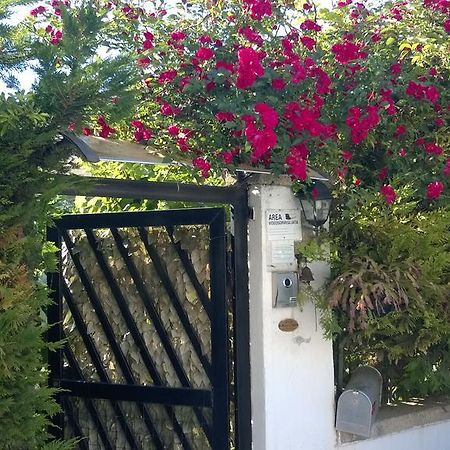B&B Mare E Sole Brindisi Buitenkant foto