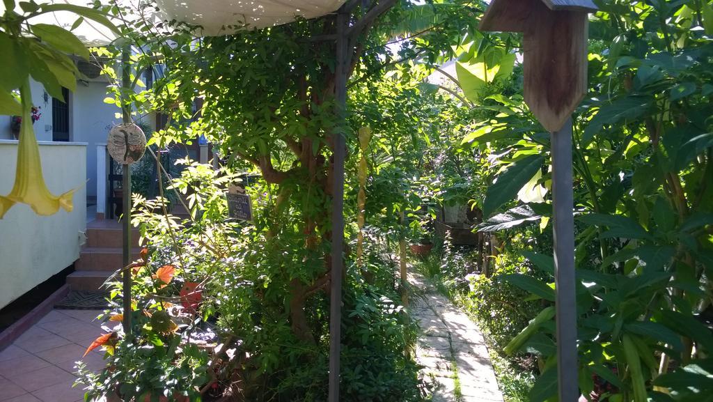 B&B Mare E Sole Brindisi Buitenkant foto