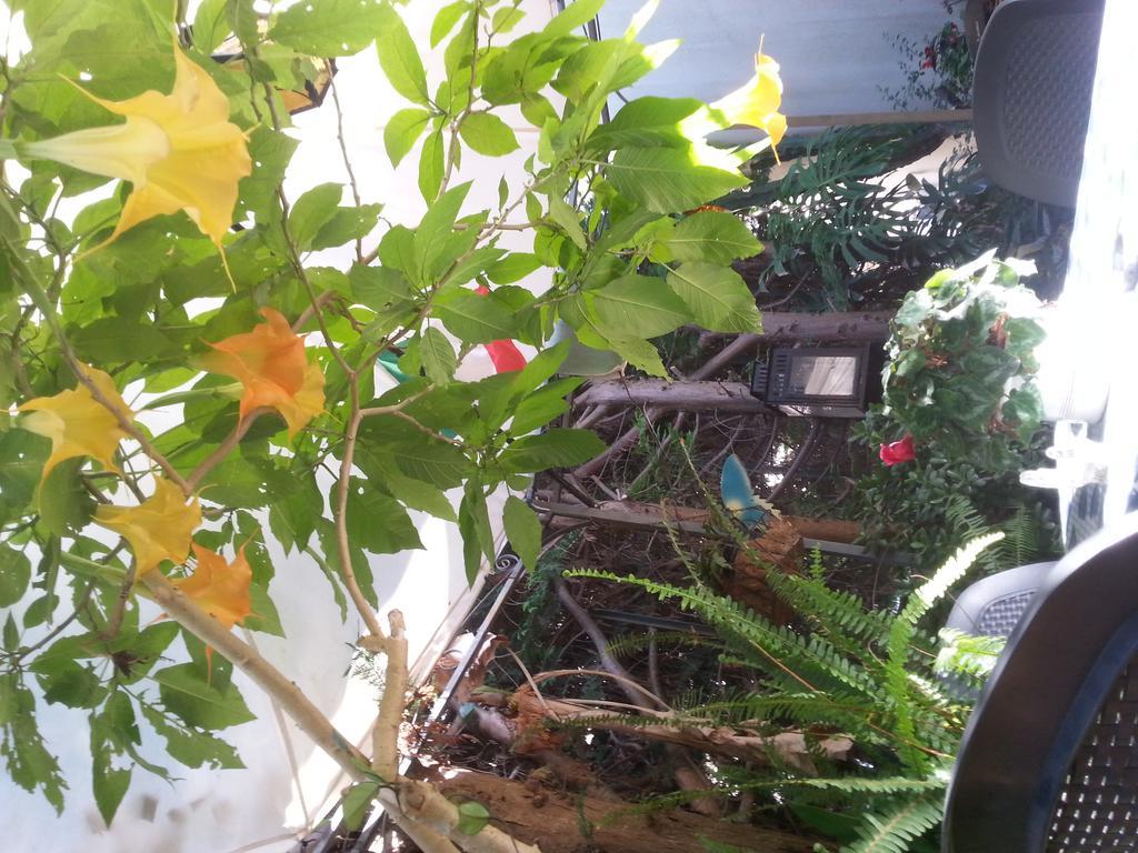 B&B Mare E Sole Brindisi Buitenkant foto
