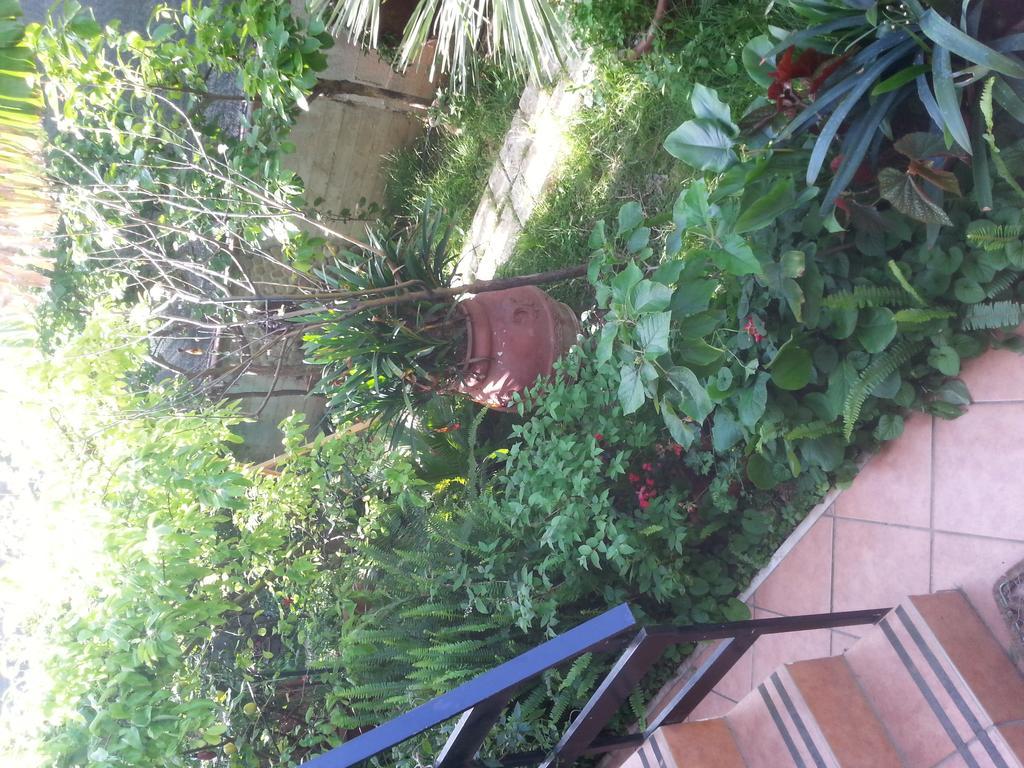 B&B Mare E Sole Brindisi Buitenkant foto