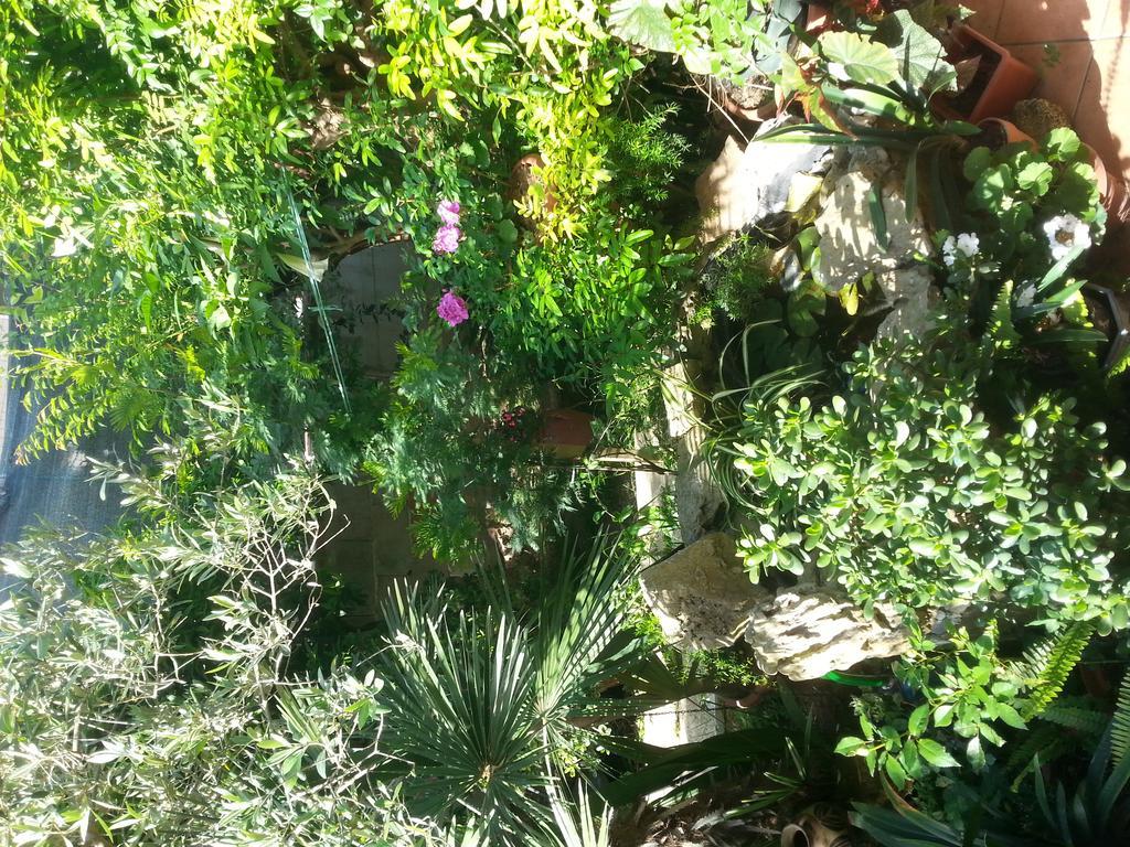 B&B Mare E Sole Brindisi Buitenkant foto