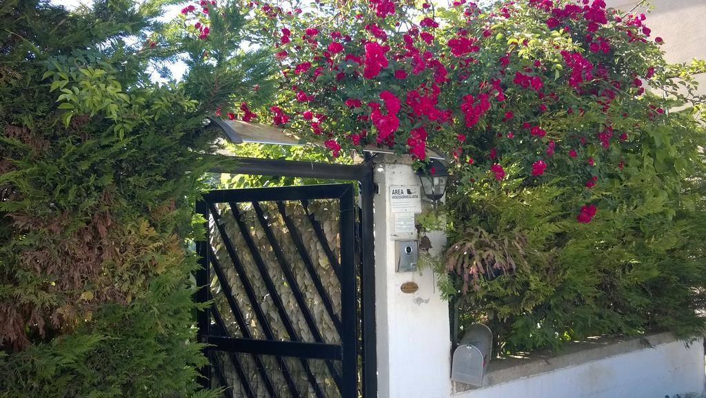 B&B Mare E Sole Brindisi Buitenkant foto